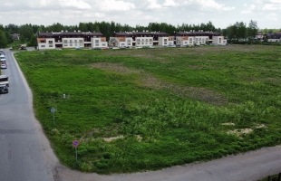 Lapenieki Zvirbuļi - Attēls