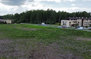 Lapenieki Zvirbuļi - Attēls