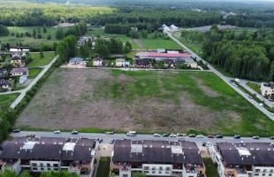 Lapenieki Zvirbuļi - Attēls