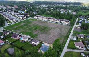 Lapenieki Zvirbuļi - Attēls