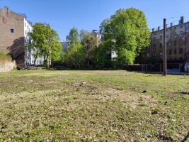 Miera - Attēls