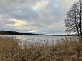 Godeļbirzes - Attēls