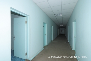 Senču - Image