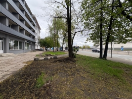 Uzvaras bulvāris - Attēls