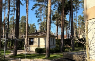 Dzērvju - Image