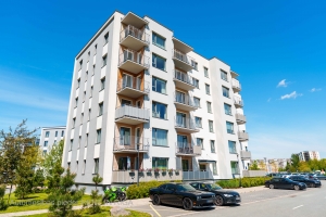 Kupriču 1A - Attēls
