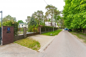 Emīla Dārziņa - Image