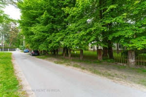 Emīla Dārziņa - Image