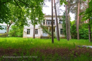 Emīla Dārziņa - Image