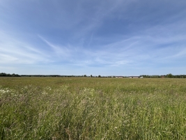 Veldres - Image