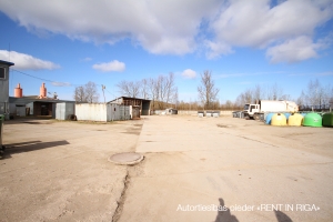 Spilves - Image