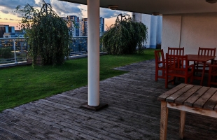 Tomsona 30 - Image