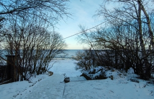 5. līnija - Attēls