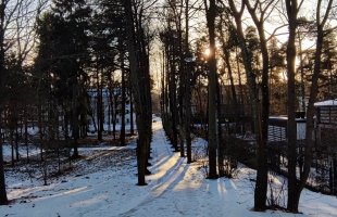 5. līnija - Attēls