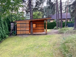 Dzintara - Attēls