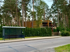 Dzintara - Attēls