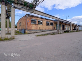 Krūzes - Image