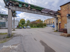 Krūzes - Image