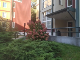 Ezermalas 13 - Attēls
