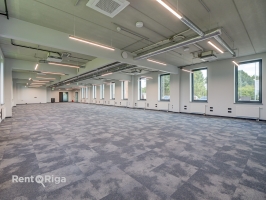 Hokeja - Image