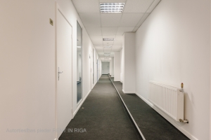 Ganību dambis - Image