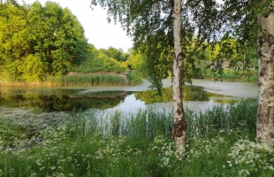 Flotes - Attēls