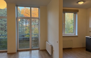 Ziepniekkalna 64 - Attēls