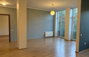 Ziepniekkalna 64 - Attēls