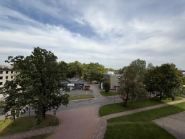 Lielirbes 11 - Attēls