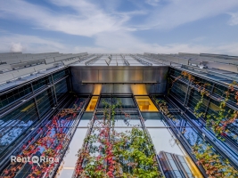 Roberta Hirša iela - Attēls