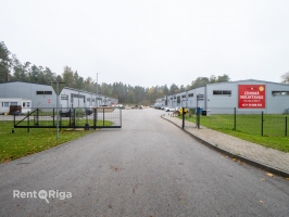 Rātsupītes - Attēls