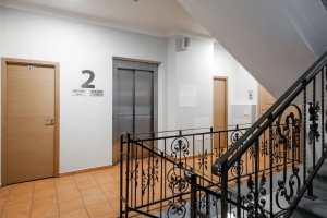 Ernesta Birznieka Upīša 20a - Attēls