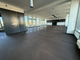 Ulmaņa gatve - Attēls