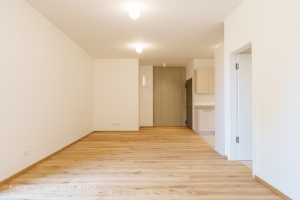 Eduarda Smiļģa 25 - Attēls