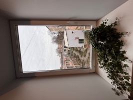 Alauksta 7 - Attēls