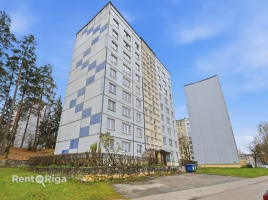 Jaunatnes 4 - Attēls