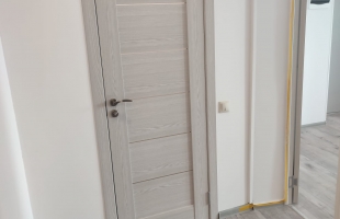 Krišjāņa Barona - Attēls