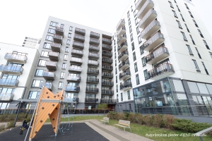 Grostonas 21 - Image