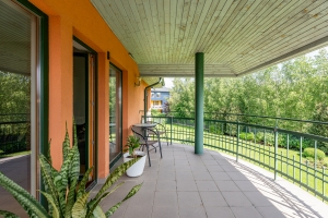 Ojāra Vācieša - Attēls