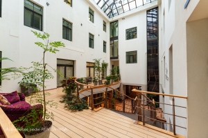 Meierovica - Attēls