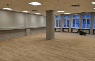 Meierovica - Attēls