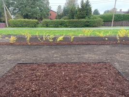 Rītausmas - Изображение