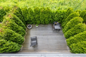 Liepu - Изображение