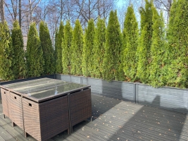 Pērkona 3 - Изображение