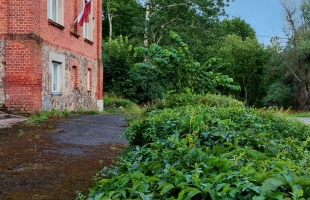 Kaķīši - Изображение