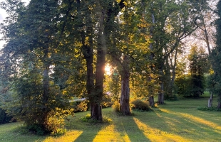 Kaķīši - Изображение