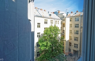 Birznieka-Upīša 29 - Attēls