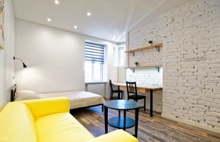 Birznieka-Upīša 29 - Attēls