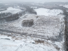 Vecsaules pagasts - Attēls