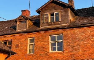 Palasta - Изображение